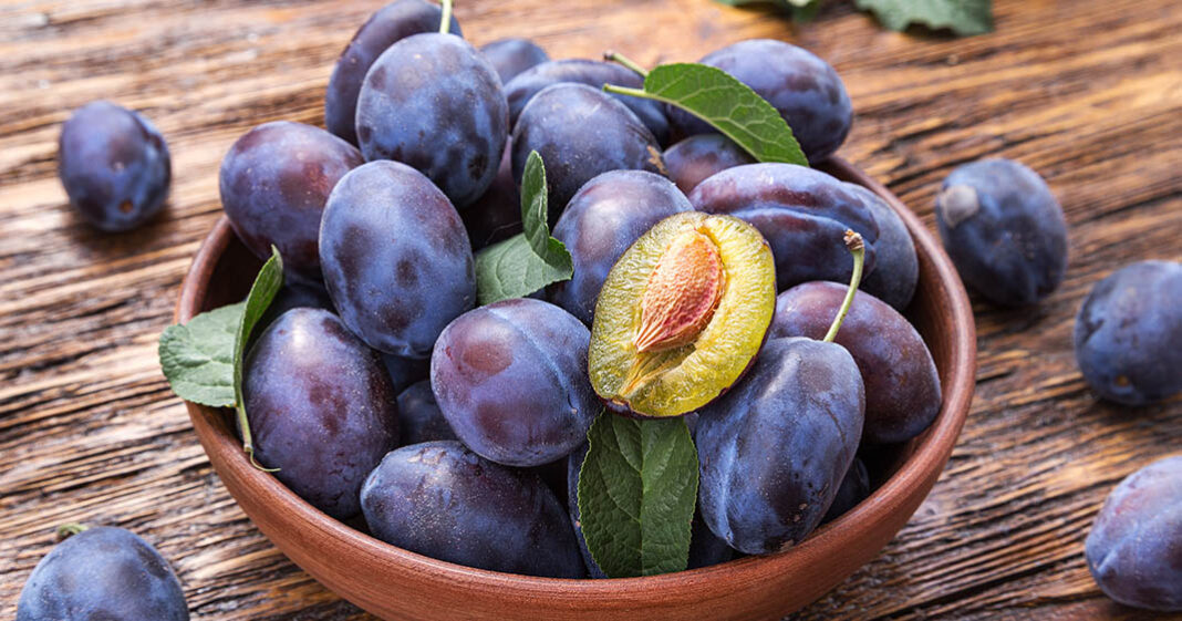 Les prunes sont bénéfiques pour le transit, l'hydratation et la prévention de certains cancers