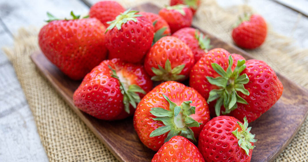 Les fraises sont idéales pour les régimes et faire le plein de vitamines