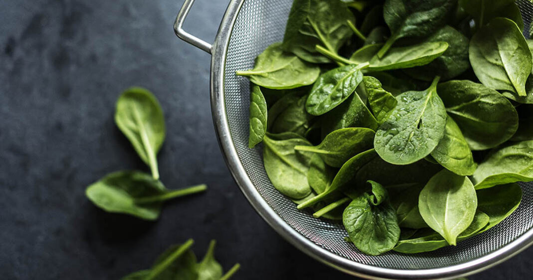 Les épinards sont des légumes très riches en vitamine K